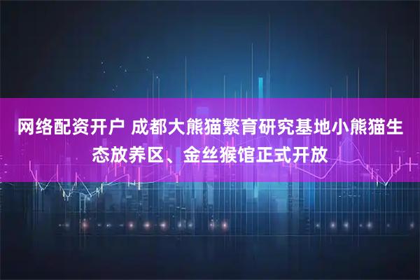 网络配资开户 成都大熊猫繁育研究基地小熊猫生态放养区、金丝猴馆正式开放